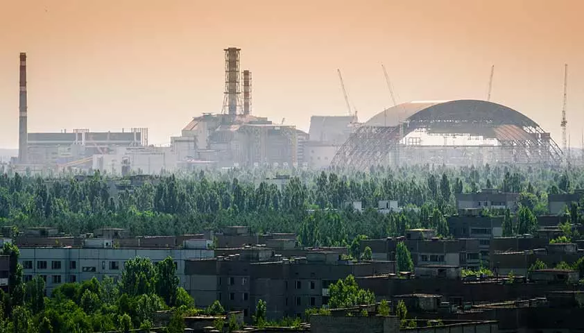 Специалисты разрешили выращивать сельхозкультуры вблизи Чернобыльской АЭС