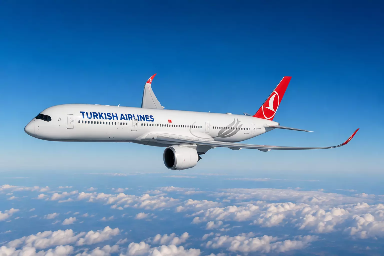 Венесуэла ведет переговоры с Turkish Airlines об удобных рейсах для россиян