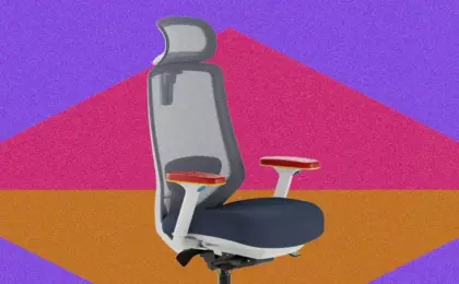 Кресло Herman Miller Embody требует привыкания, но обеспечивает поддержку спины и 12-летнюю гарантию